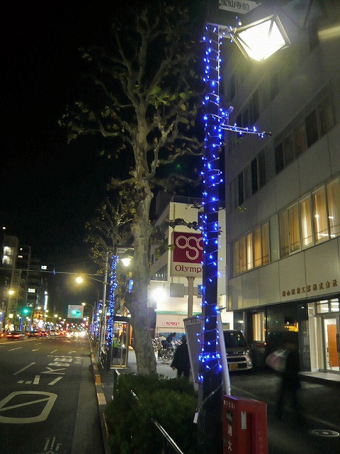 宝仙寺前通商店会
街路灯にイルミネーションを飾りました